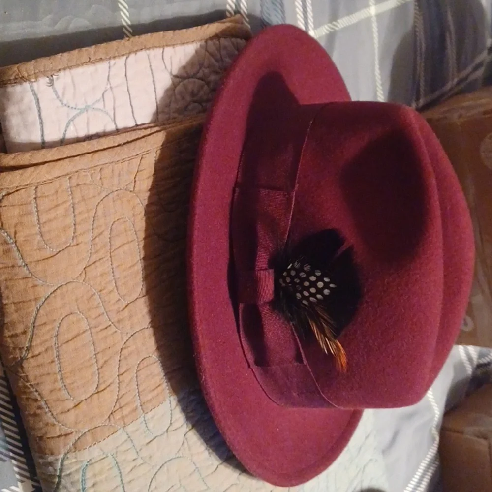 Stylish Men's Fedora Hat Collection - Picture 10 of 14